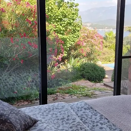 La Baie Des Anges 别墅 *