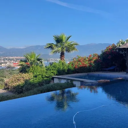 La Baie Des Anges 别墅