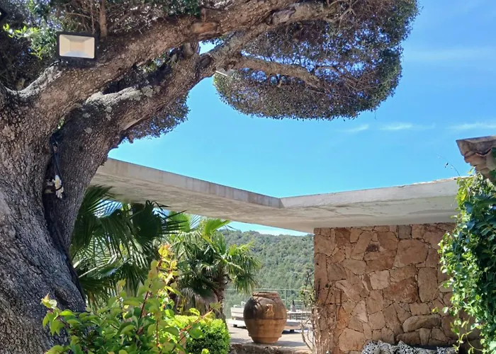 La Baie Des Anges